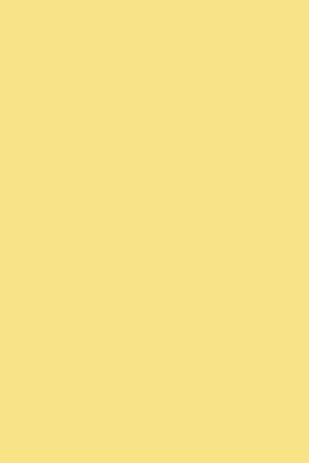 Farrow & Ball Farbe - Dayroom Yellow 233