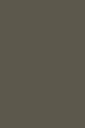 Reduced Green 313 - Farrow and Ball