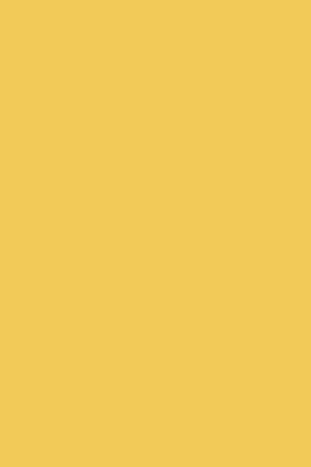 Farrow & Ball Farbe - Yellow Ground 218