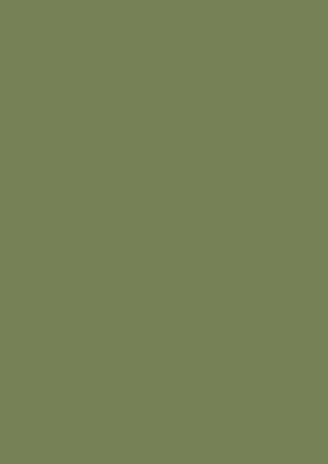 Farrow and Ball Colour by Nature - Sap Green 56